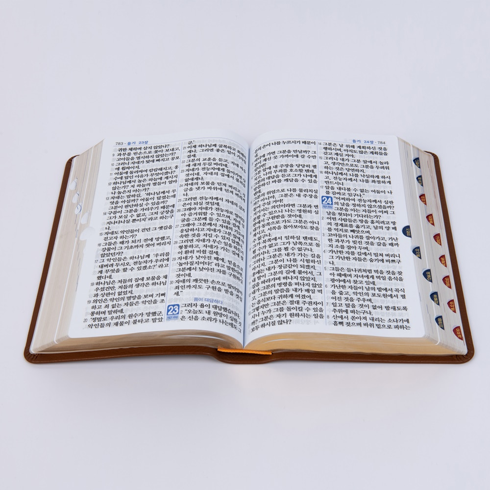 큰글쉬운성경 특대 단본 다크브라운