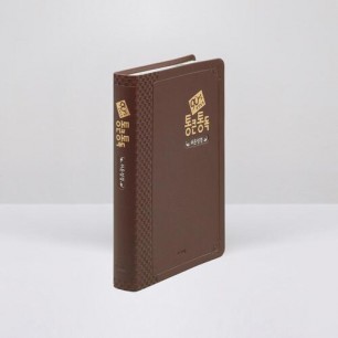 90일 통큰통독 (쉬운성경판) 대 단본 다크브라운 / 5332242