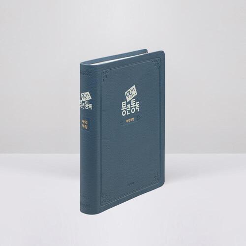 큰글자 90일 통큰통독 (개역개정판) 대 단본 네이비 / 3432362