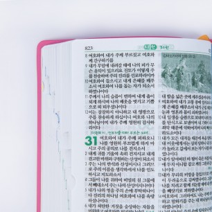개역개정 일러스트 어린이성경 특소(보급) 단본 베이비핑크