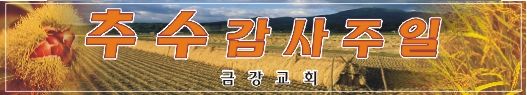 추수감사절현수막-7번(사이즈500*90)