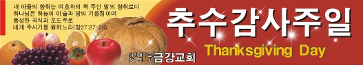 추수감사절현수막-2번(사이즈500*90)