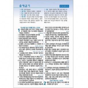 성경전서 NKR73STH 개역개정/ 새찬송가/ 중/ 색인/ 지퍼/ 버건디 (16816)