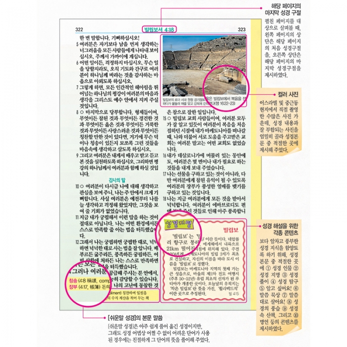 DK 일러스트 컬러 쉬운말성경 (창세기) 소/단본/무색인/그린(13159)